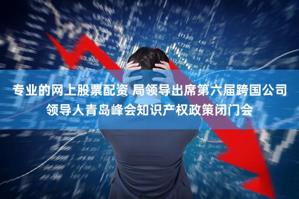 专业的网上股票配资 局领导出席第六届跨国公司领导人青岛峰会知识产权政策闭门会